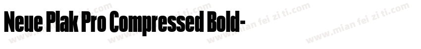 Neue Plak Pro Compressed Bold字体转换